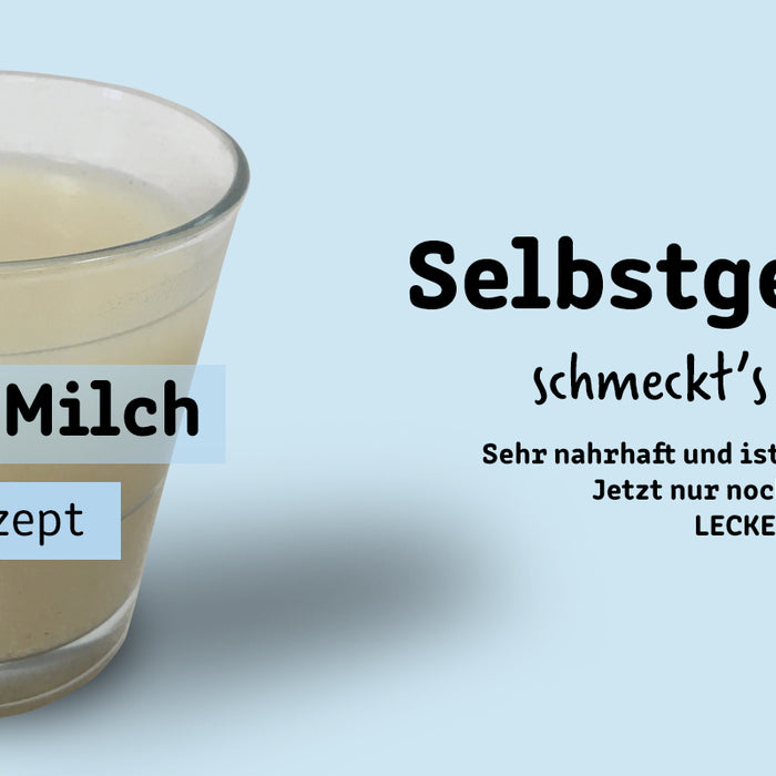 DIY - Quinoa-Milch einfach selber machen