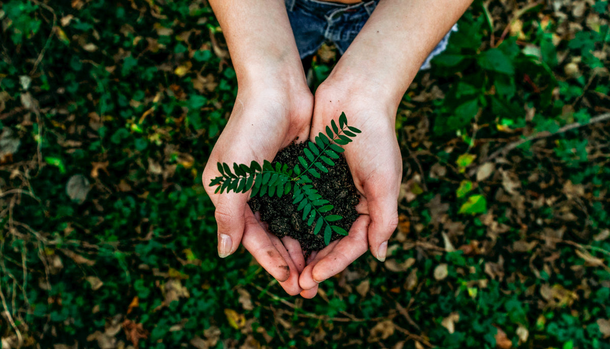 28. Juli - Welttag des Naturschutzes