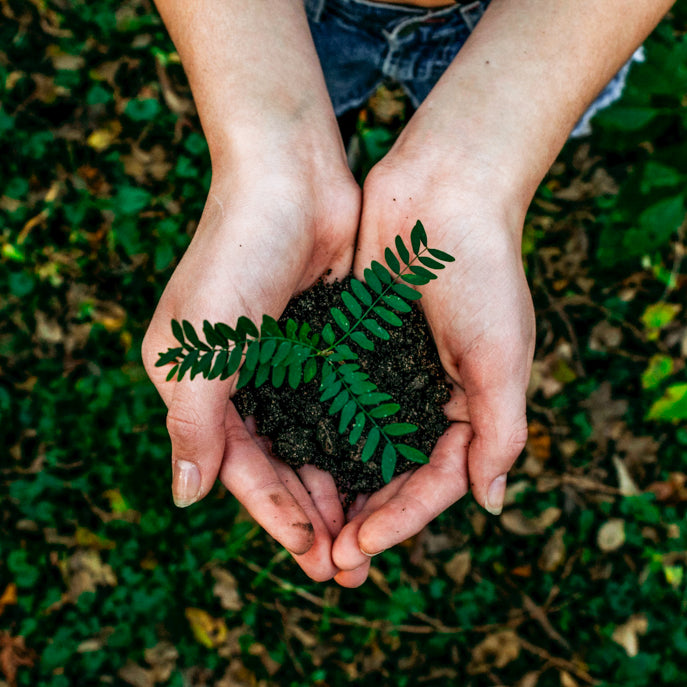 28. Juli - Welttag des Naturschutzes